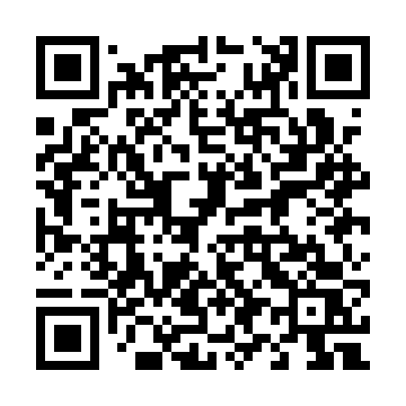 QR code for 491AVS