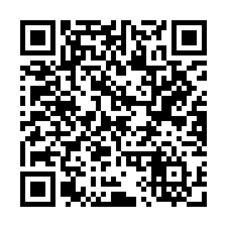 QR code for 491IGV