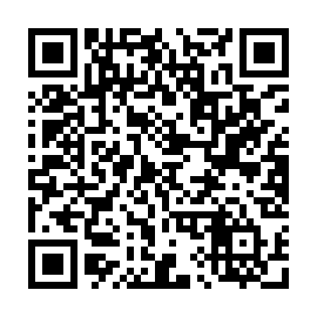 QR code for 491IRT