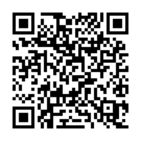 QR code for 493IIA