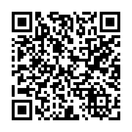 QR code for 493JIE