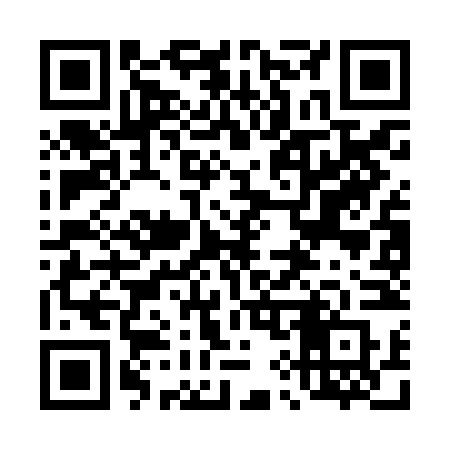 QR code for 493JNR