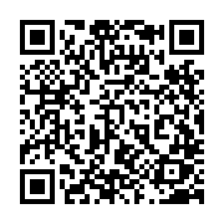 QR code for 493LLX