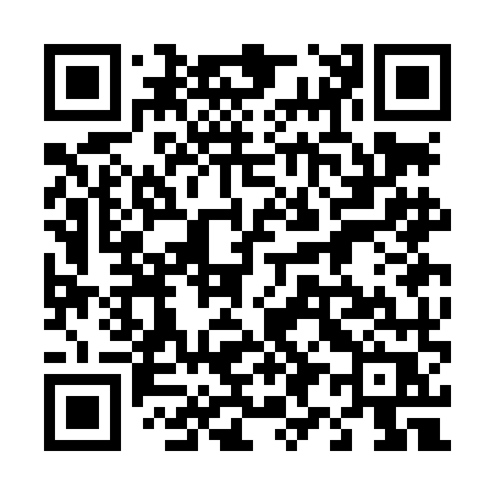 QR code for 493LMR