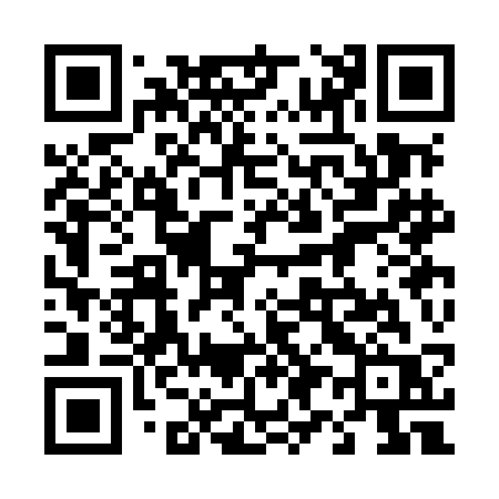 QR code for 493MCR