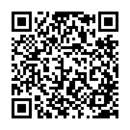 QR code for 493NLO