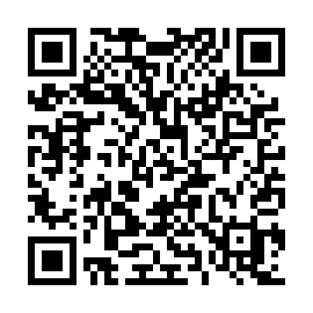 QR code for 493PAI