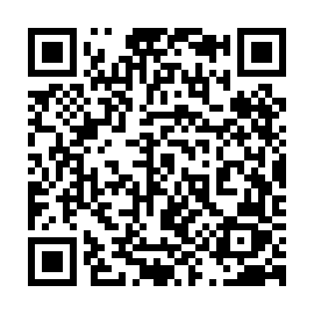 QR code for 493PFZ