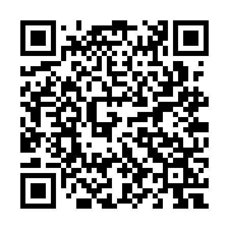 QR code for 493QNN