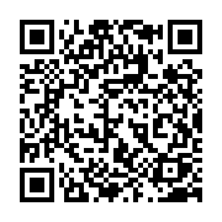 QR code for 493QWQ