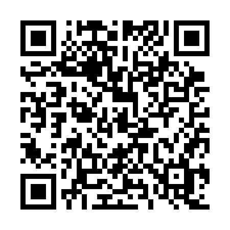 QR code for 493SGL