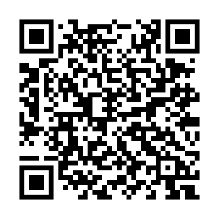 QR code for 493TBB