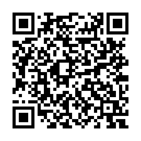 QR code for 493XYS