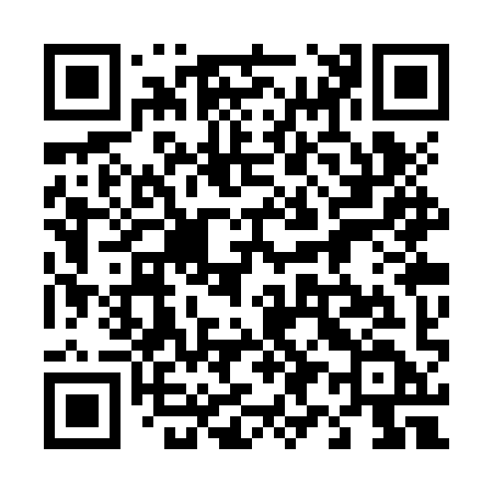 QR code for 493ZYD