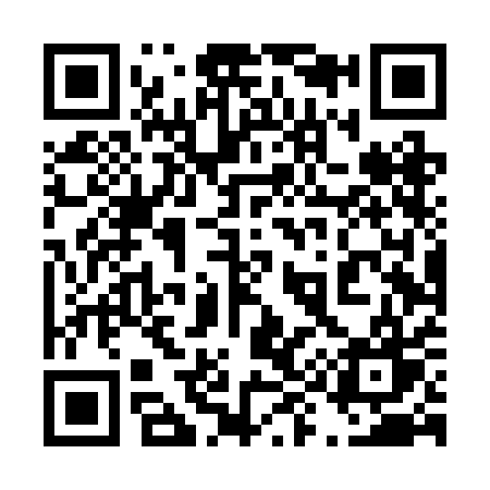 QR code for 494RAW