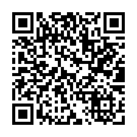 QR code for 496VIN