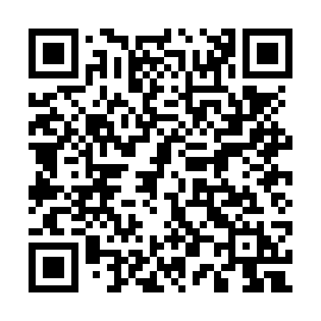QR code for 500NSH