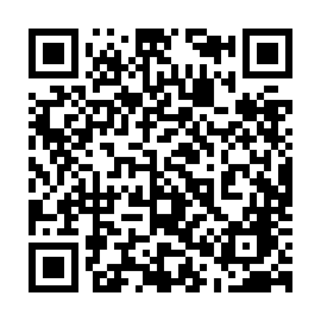 QR code for 500ZNG