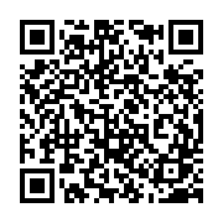 QR code for 501IDS