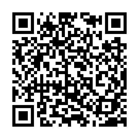 QR code for 501WPI