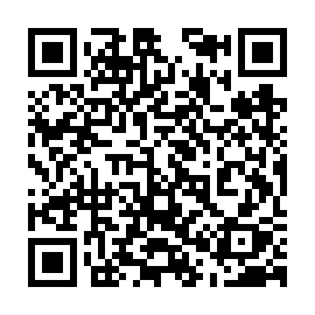 QR code for 509FSX
