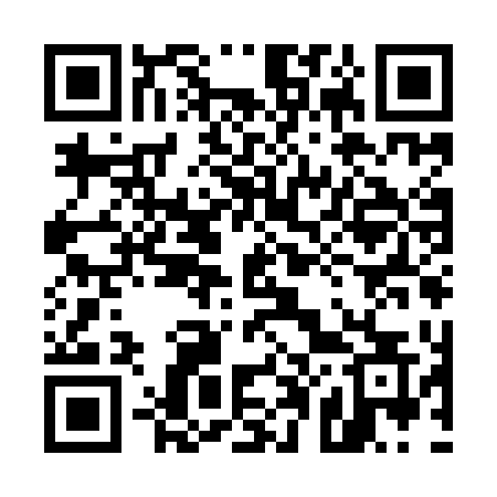 QR code for 509IDS