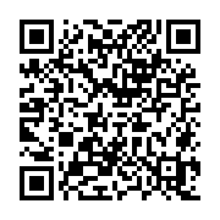 QR code for 509MOI