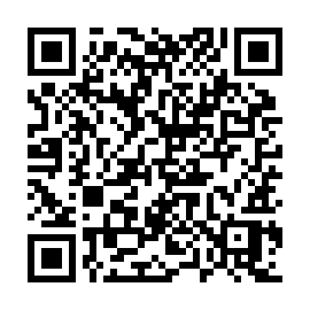 QR code for 509ZIR