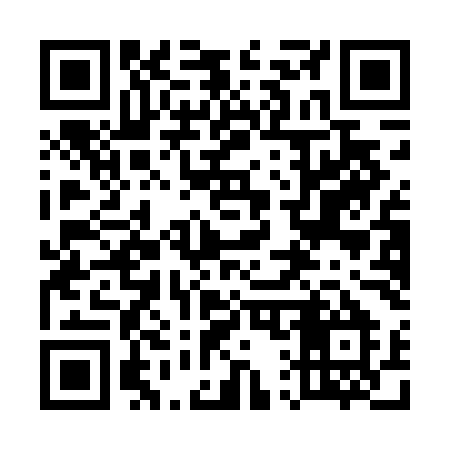 QR code for 511DMM