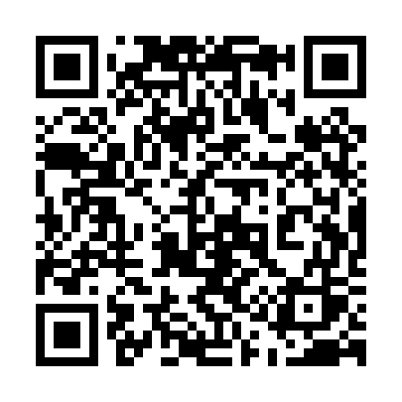 QR code for 511PWS