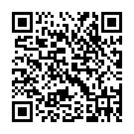 QR code for 511QAS