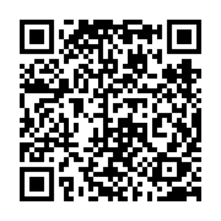 QR code for 511VIX