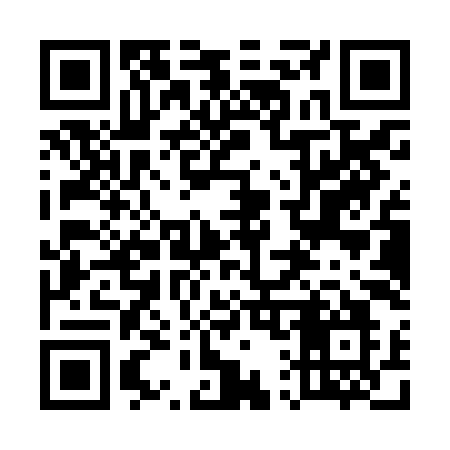 QR code for 511ZIO