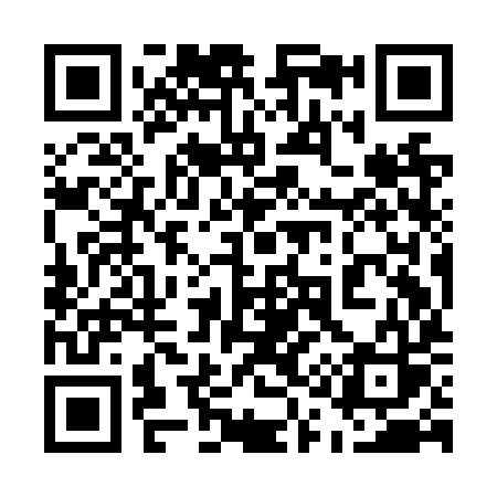 QR code for 519NYS