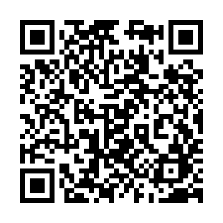 QR code for 533AIB