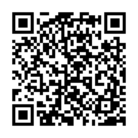 QR code for 533CVS