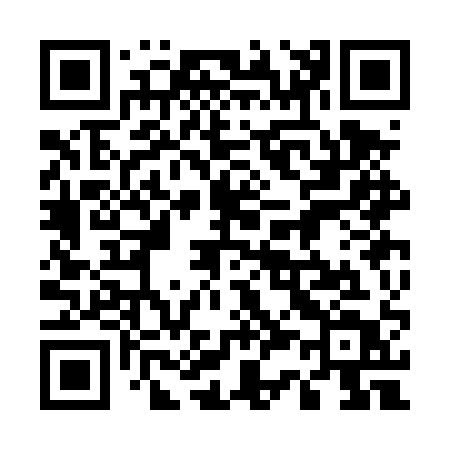 QR code for 533DQT
