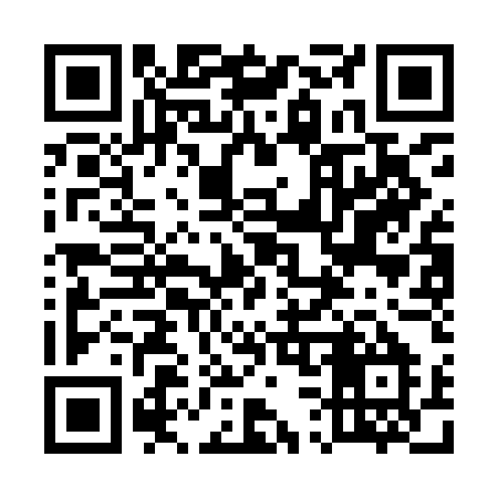 QR code for 533IEM