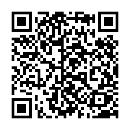 QR code for 533POX