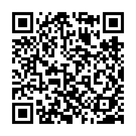 QR code for 533VII