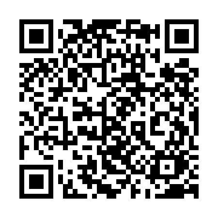 QR code for 539EGO