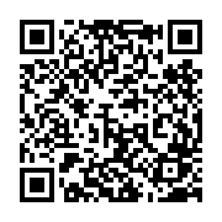 QR code for 541DDR