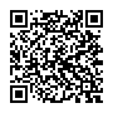QR code for 541PZZ