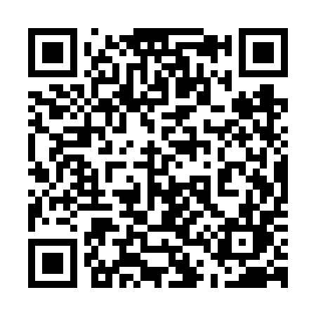 QR code for 541VPL