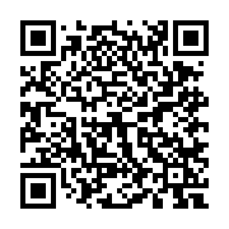 QR code for 595DLK