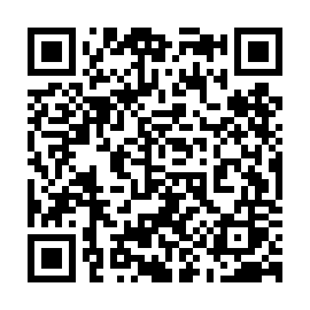 QR code for 595DOS