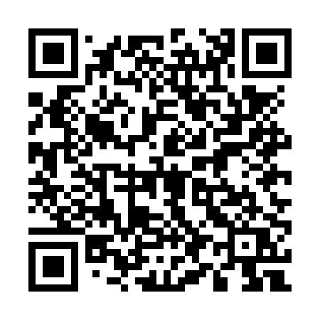 QR code for 595NPQ
