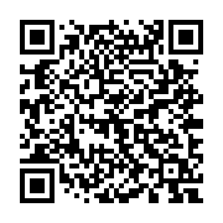 QR code for 595PYT