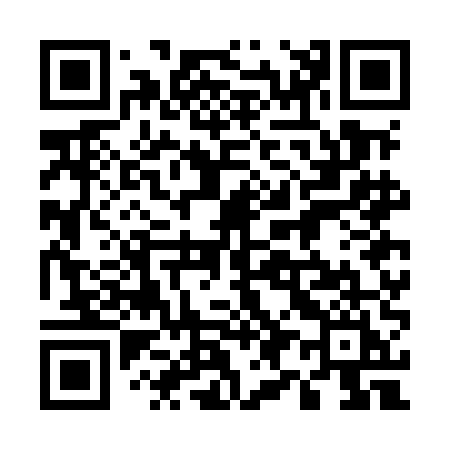 QR code for 597MEI