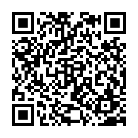 QR code for 601LSV
